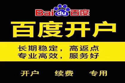SEM百度竞价案例：关键词优化技巧解析